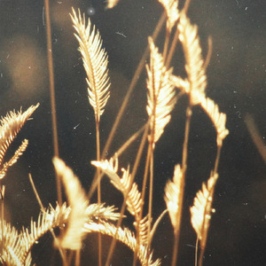 利世新娘外网完整视频
